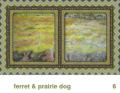 We Share This World - Ferret + Prairie Dog