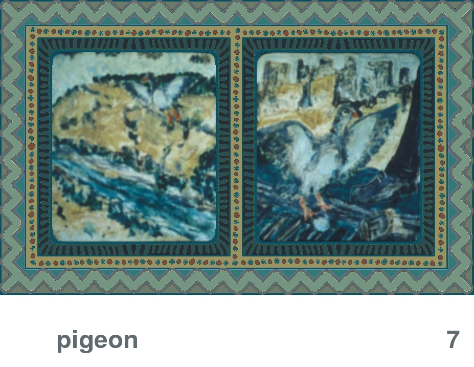 We Share This World:  Animal rights picture book - Pigeon