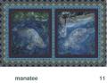We Share This World - Manatee