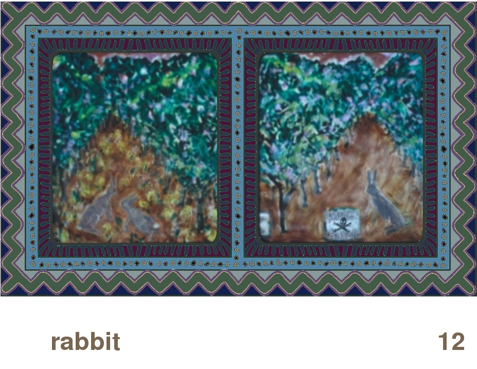 We Share This World:  Animal rights picture book - Rabbit