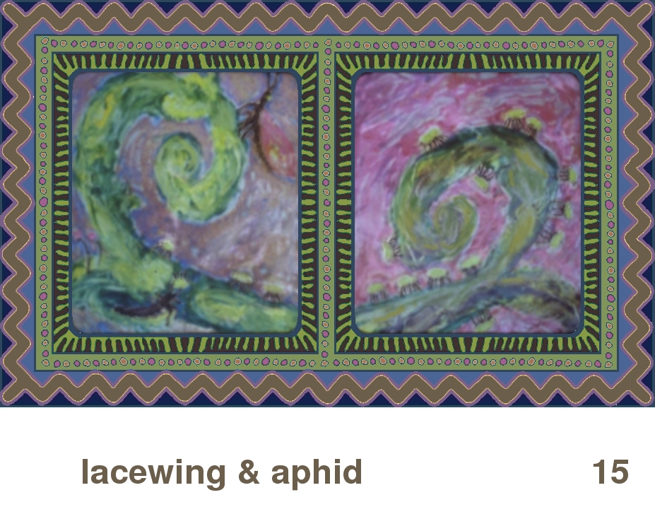 We Share This World:  Animal rights picture book - Lacewing & Aphid