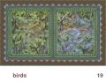 We Share This World - Song Bird