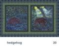 We Share This World - Hedgehog