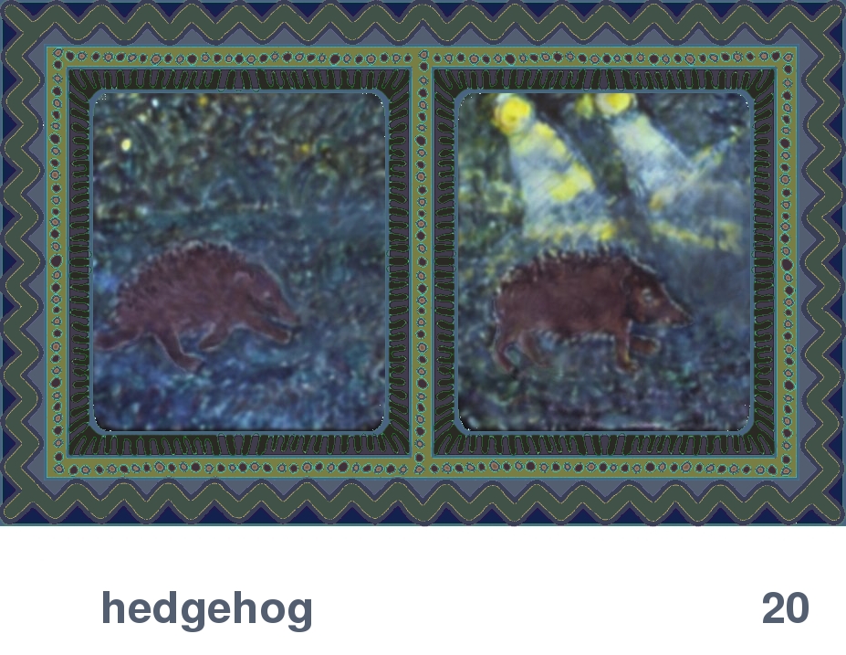 We Share This World:  Animal rights picture book - Hedgehog