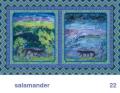 We Share This World - Salamander