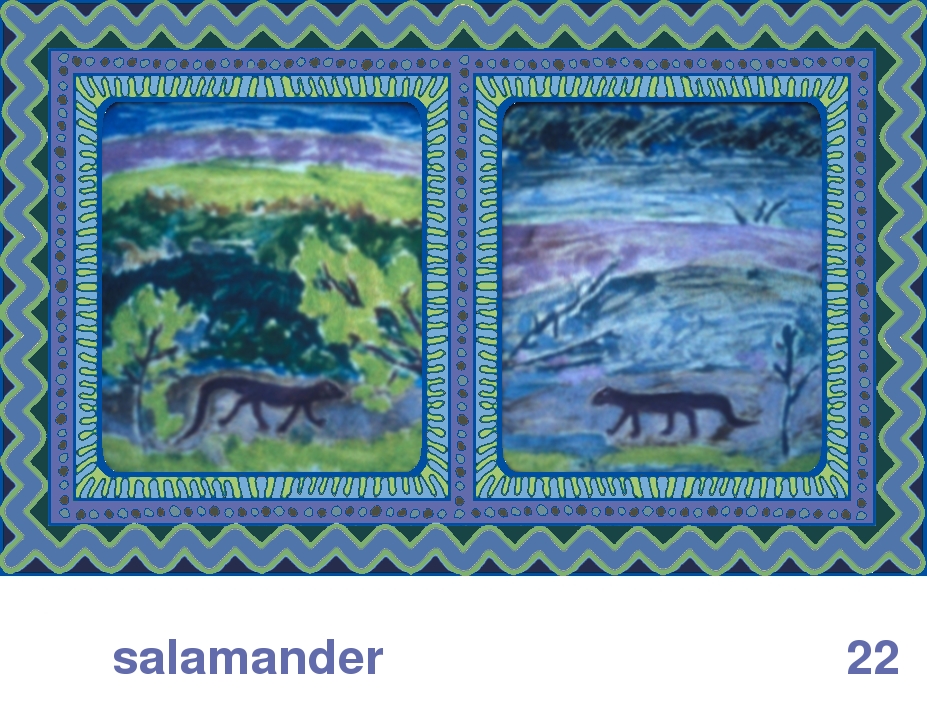 We Share This World:  Animal rights picture book - Salamander