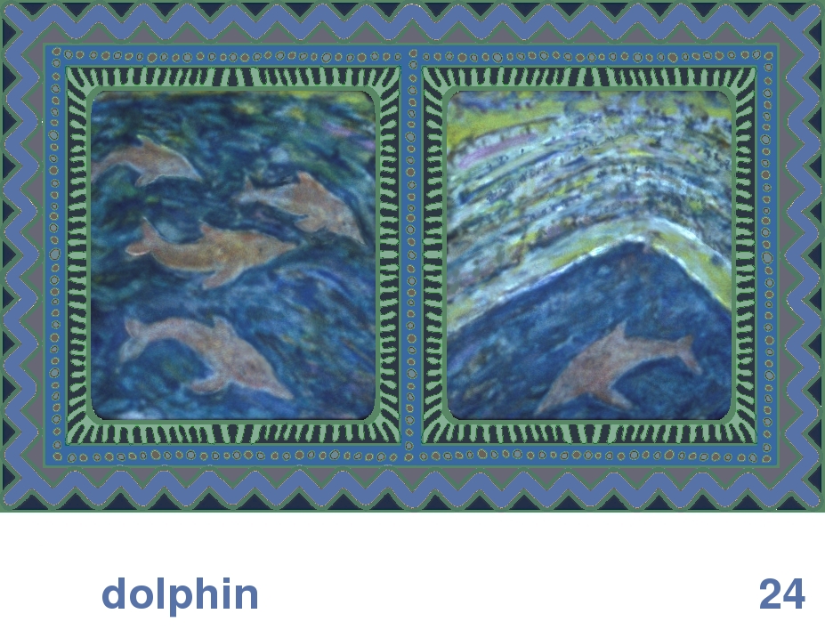 We Share This World:  Animal rights picture book - Dolphin