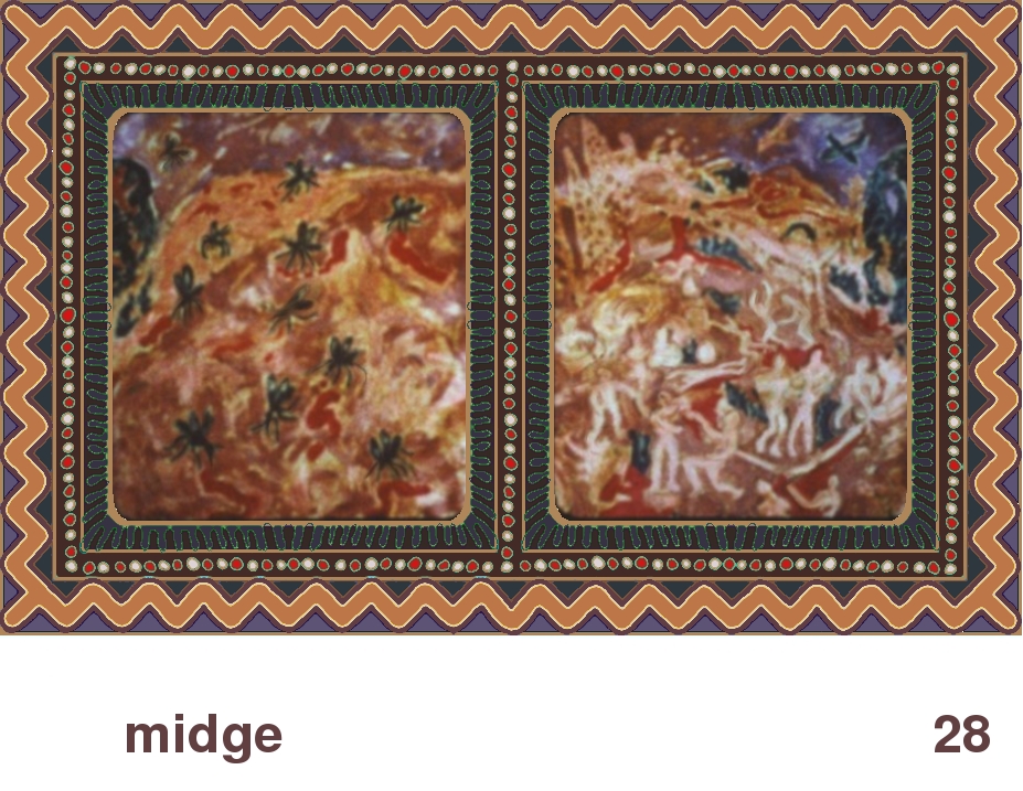 We Share This World:  Animal rights picture book - Midge