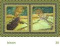 We Share This World - Bison