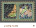 We Share This World - Praying Mantis