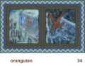 We Share This World - Orangutan