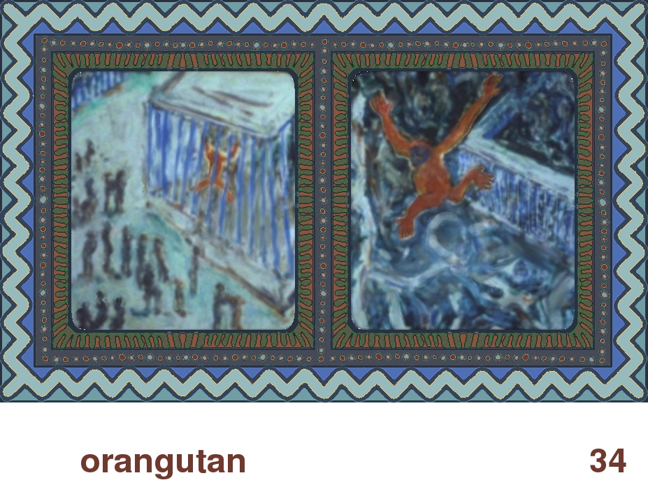 We Share This World:  Animal rights picture book - Orangutan