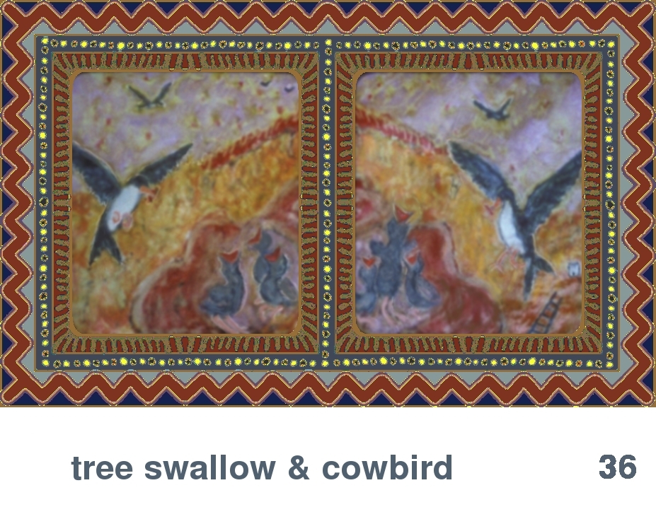 We Share This World:  Animal rights picture book - Tree Swallow & Cowbird