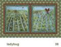 We Share This World - Ladybug