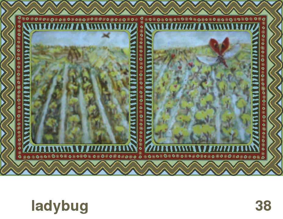 We Share This World:  Animal rights picture book - Ladybug