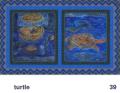 We Share This World - Turtle