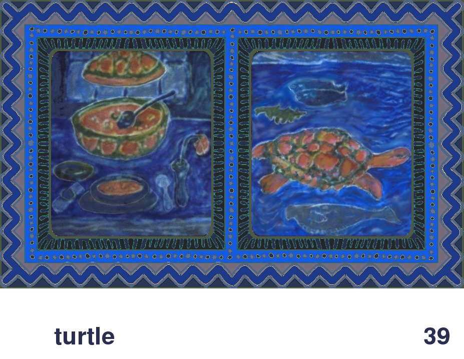 We Share This World:  Animal rights picture book - Turtle