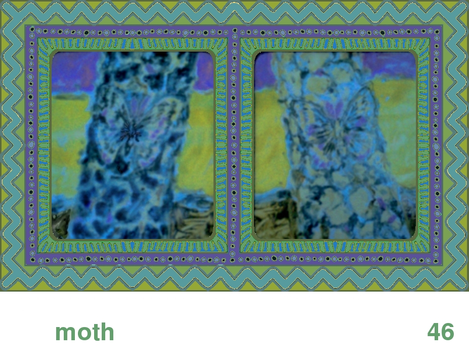 We Share This World:  Animal rights picture book - Moth