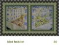 We Share This World - Bird Habitat