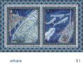 We Share This World - Whale