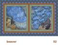We Share This World - Beaver