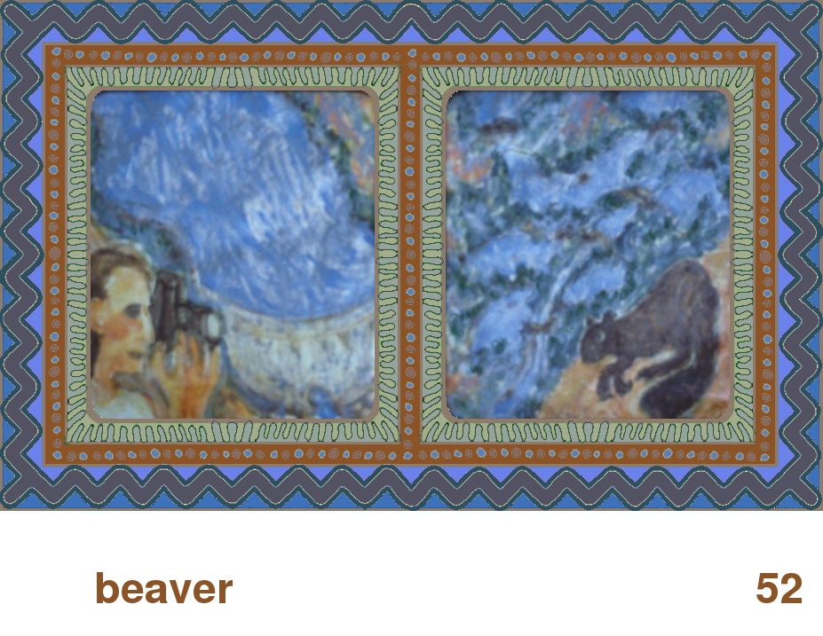 We Share This World:  Animal rights picture book - Beaver