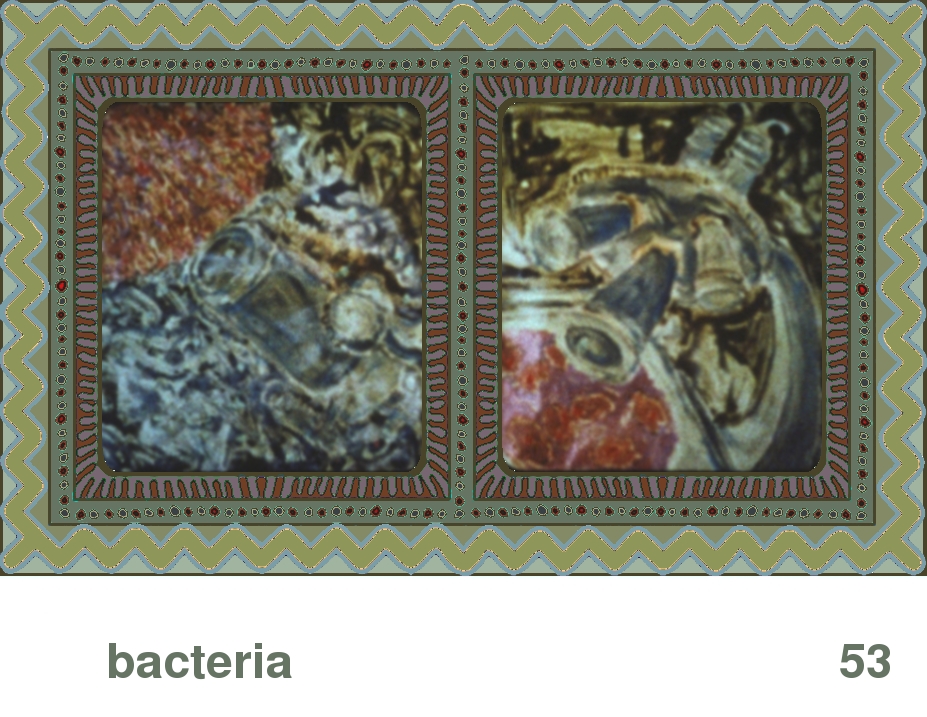 We Share This World:  Animal rights picture book - Bacteria