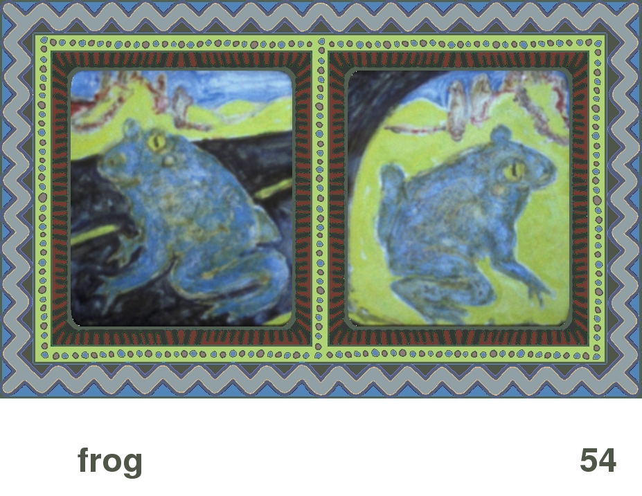 We Share This World:  Animal rights picture book - Frog