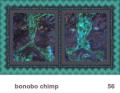 We Share This World - Bonobo Chimp